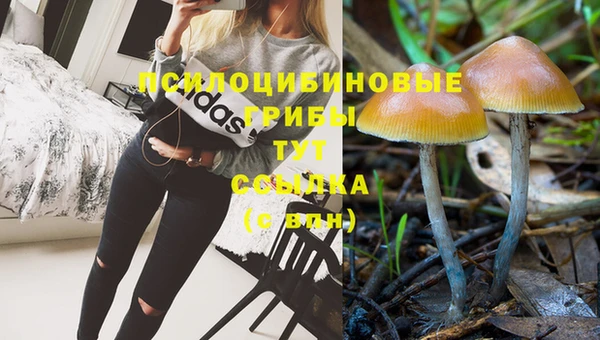 ПСИЛОЦИБИНОВЫЕ ГРИБЫ Бронницы