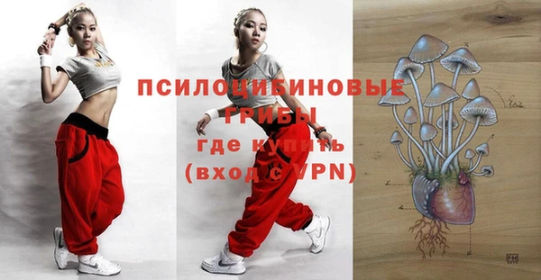 соль курить ск Богородицк