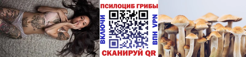 Галлюциногенные грибы Psilocybine cubensis где найти MEGA зеркало Лыткарино