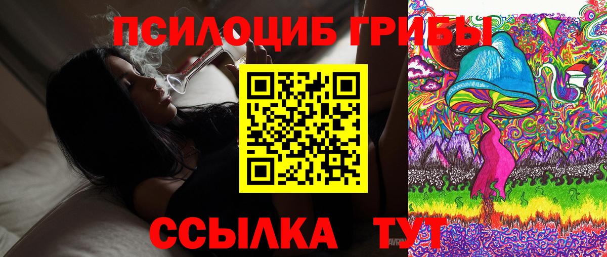 Лыткарино  Псилоцибиновые грибы Cubensis  Вход с VPN  Галлюциногенные грибы Psilocybe 