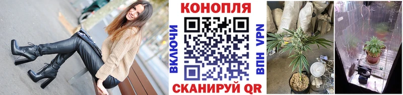 Каннабис Ganja Лыткарино